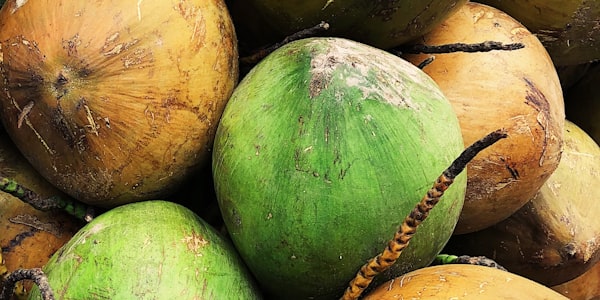 Benefits of Coconut Water Compared to Other Drinks